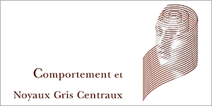 Logo CNGC