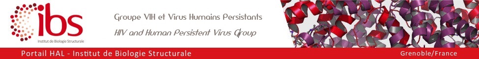 Groupe VIH et Virus Humains Persistants